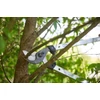 Kép 7/11 - FELCO 211-60 kétkezes ágvágó olló (60 cm-es hossz)