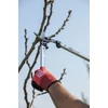 Kép 6/11 - FELCO 211-60 kétkezes ágvágó olló (60 cm-es hossz)