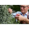 Kép 12/17 -  FELCO 420 fűszer-, bonsai- és virágolló