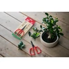 Kép 15/17 -  FELCO 420 fűszer-, bonsai- és virágolló