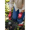 Kép 22/33 - FELCO 401 ültetőlapát, FELCO 421 sarabolóvy