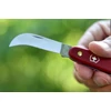 Kép 5/6 - FELCO 3.90 60 Victorinox kacor kertészkés
