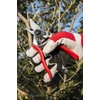 Kép 6/21 - FELCO 702