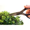 Kép 5/8 - Okatsune 201 bonsai olló – keskeny pengével, bőr tokkal
