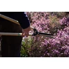 Kép 4/5 - Okatsune 230 sövénynyíró olló (78 cm)