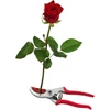 Kép 7/8 - FELCO 4C&amp;H virágvágó / virágszedő metszőolló