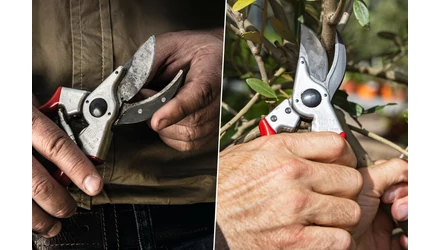 FELCO 2 vagy FELCO 11 metszőolló: mi a különbség?