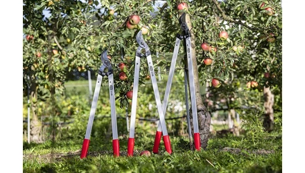 FELCO 221 ágvágó sorozat – 70, 80 és 90 cm-es méretben