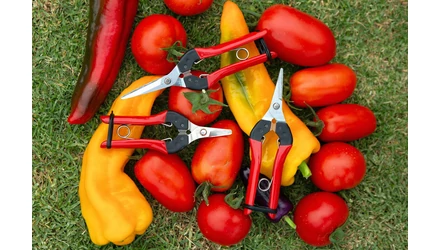 A FELCO 320-as sorozata: kézreálló szüretelő olló kertészeknek